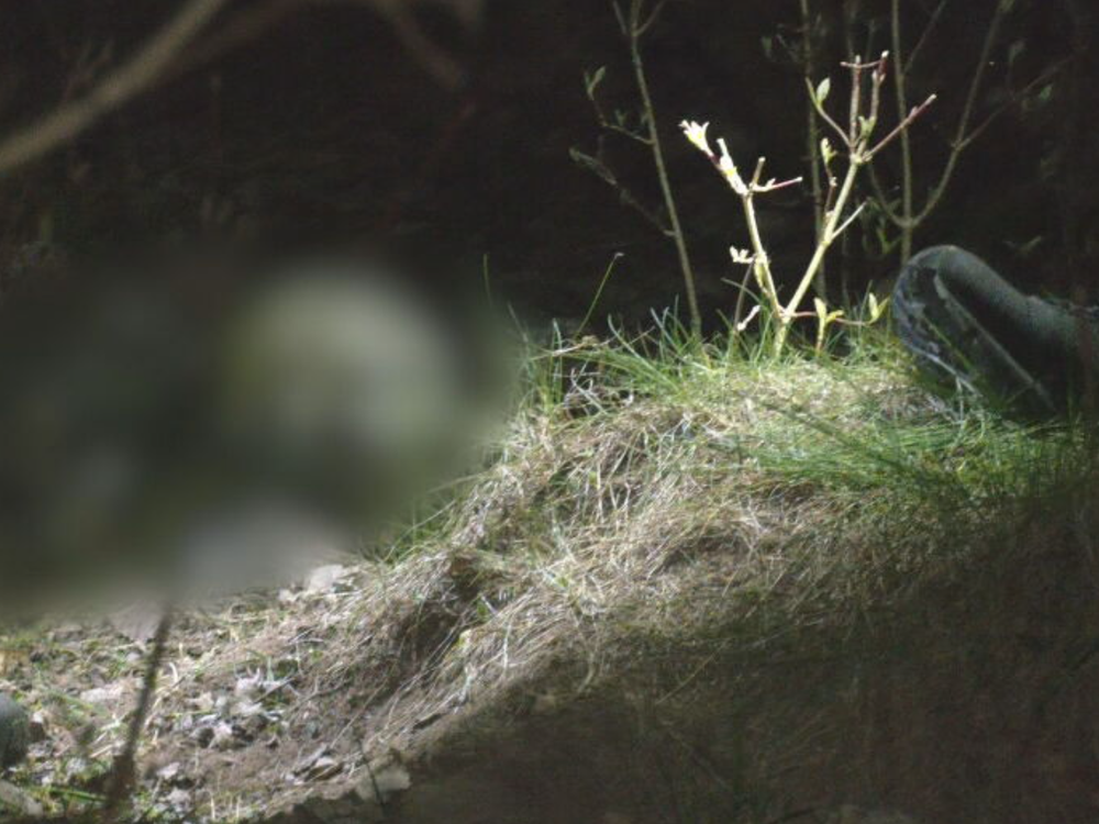 Mrazivý objav počas prechádzky: Kostra ležala v lese minimálne tri roky