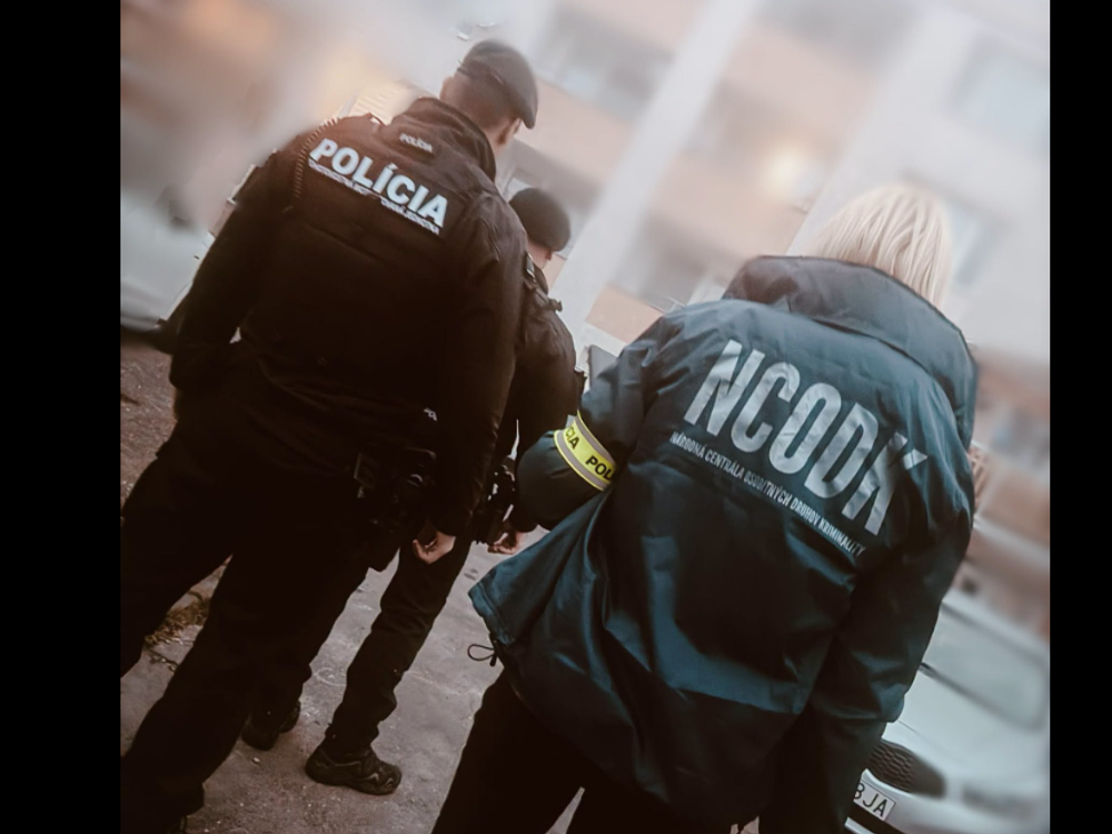 Kriminalisti zasahujú na strednom Slovensku: Pri akcii Someliér zadržali muža