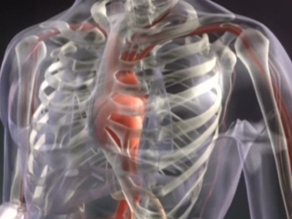 Nie je to infarkt!  TOTO JE 8 príčin bolesti na hrudníku, ktoré NAPODOBŇUJÚ srdcovú prihodu