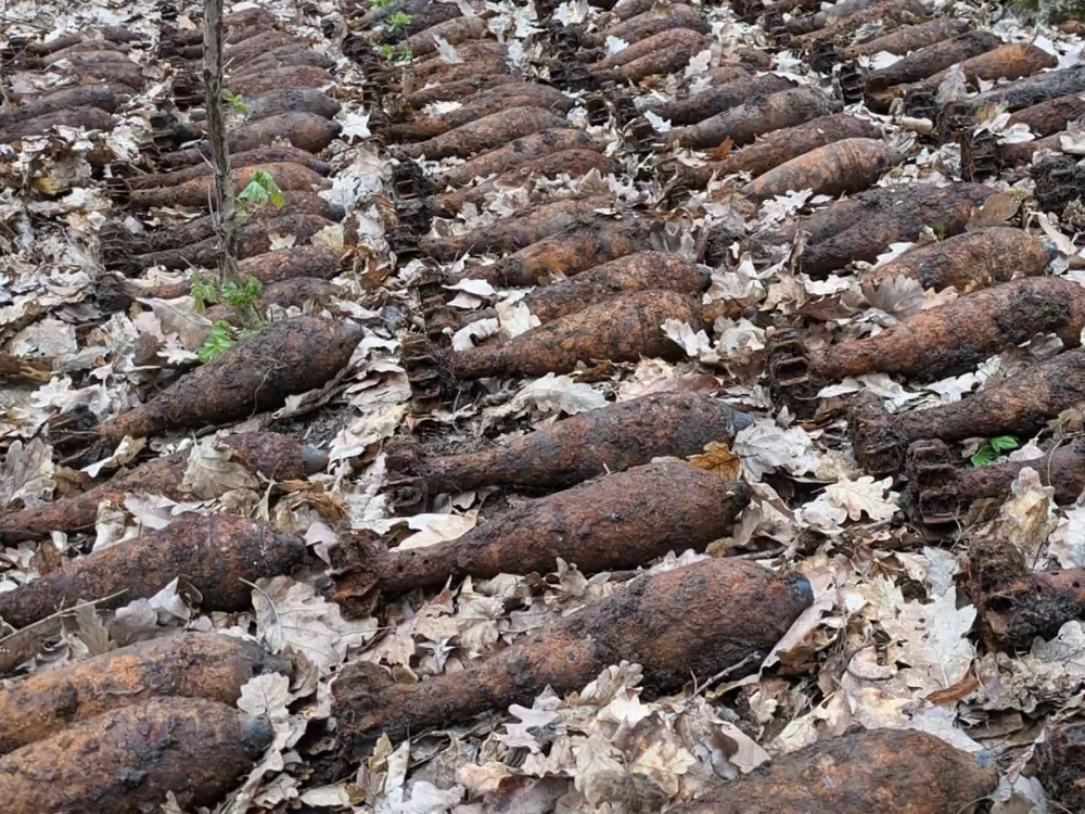 Pyrotechnici zasahovali hodiny: V lese našli 180 funkčných mín