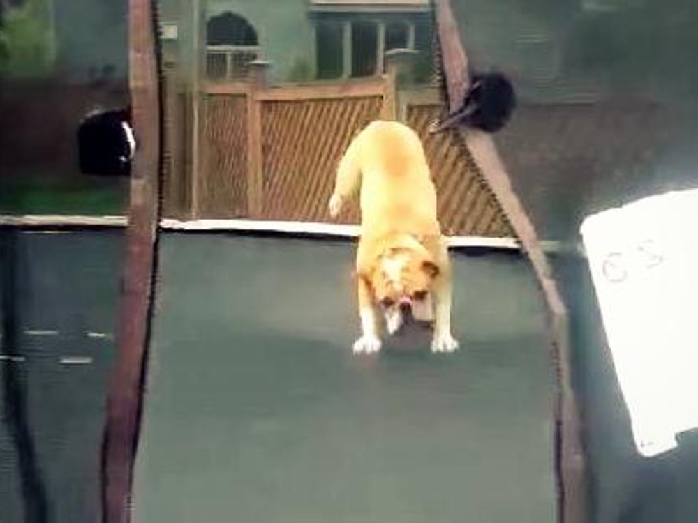Traumatológovia: Úrazy detí na trampolínach sa množia.  Toto je 7 vecí, ktoré pri skákaní nedovoľte!