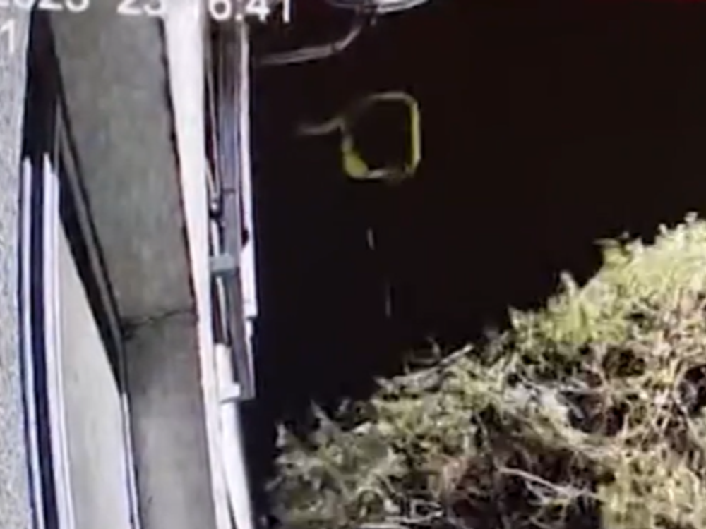 Fekálie visia aj na strome. Chlap vylieva z balkóna výkaly rovno pred bytovku a susedia sú zúfalí