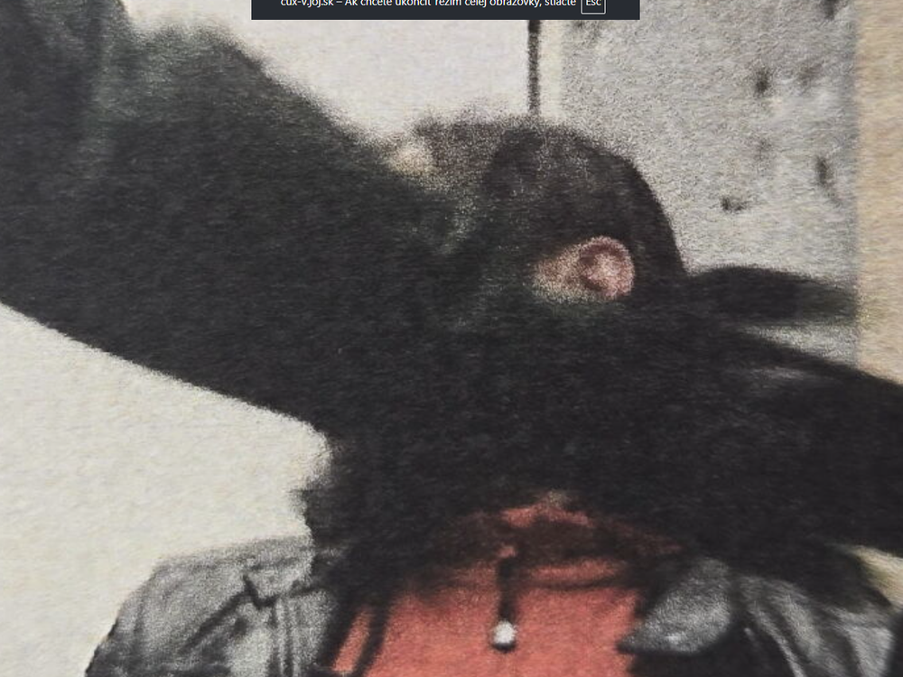 Policajti si mučenie Lukáša natáčali na mobil. Za brutalitu im hrozí až 10 rokov