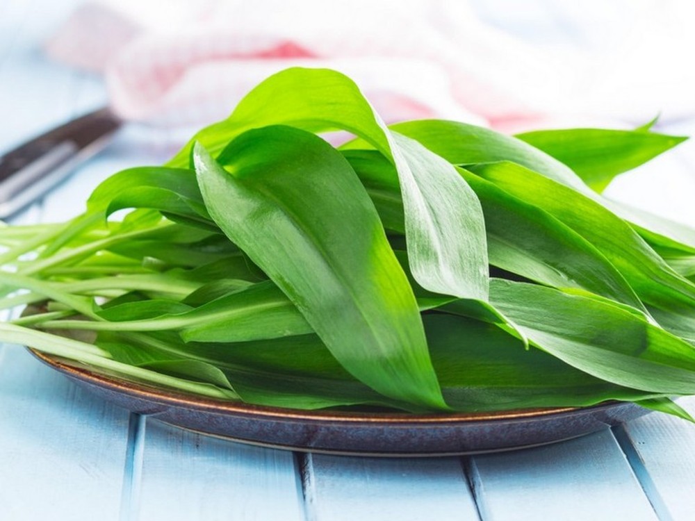 Chcete z medvedieho cesnaku vyskúšať niečo nové? Rýchle domáce gnocchi podľa Pyca budete milovať!