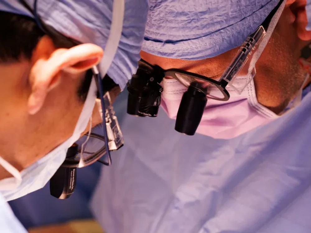Rekord v xenotransplantácii: Prasacia oblička fungovala v tele muža 271 dní