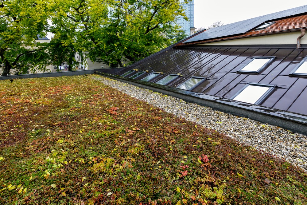 SR prezidentka projekt Zelená strecha TK (6)