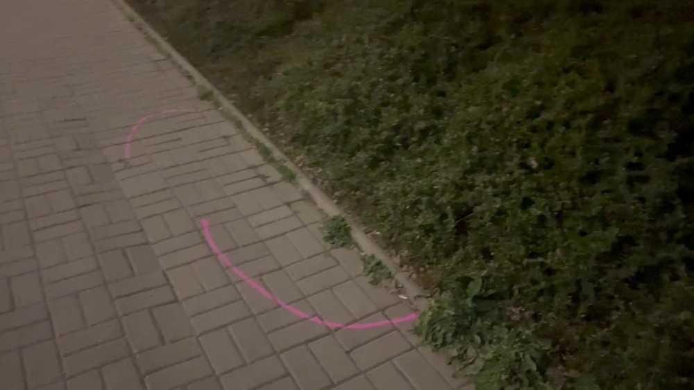 [multi] 050224PPD 543