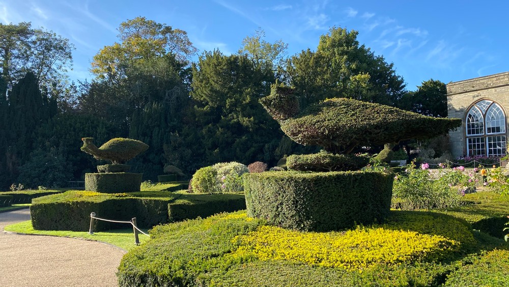 Medzinárodný ples vo Warwicku73