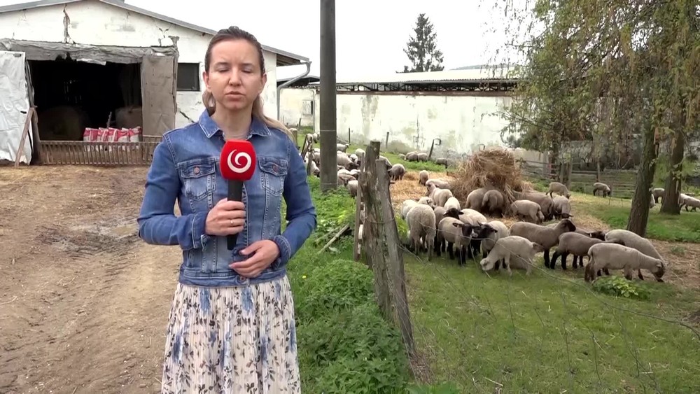 [multi] Kradez jahniat 689