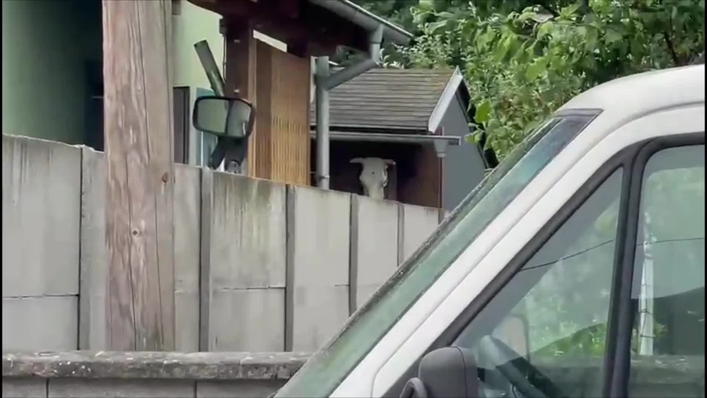 [multi] NAKA zásah strih 8738