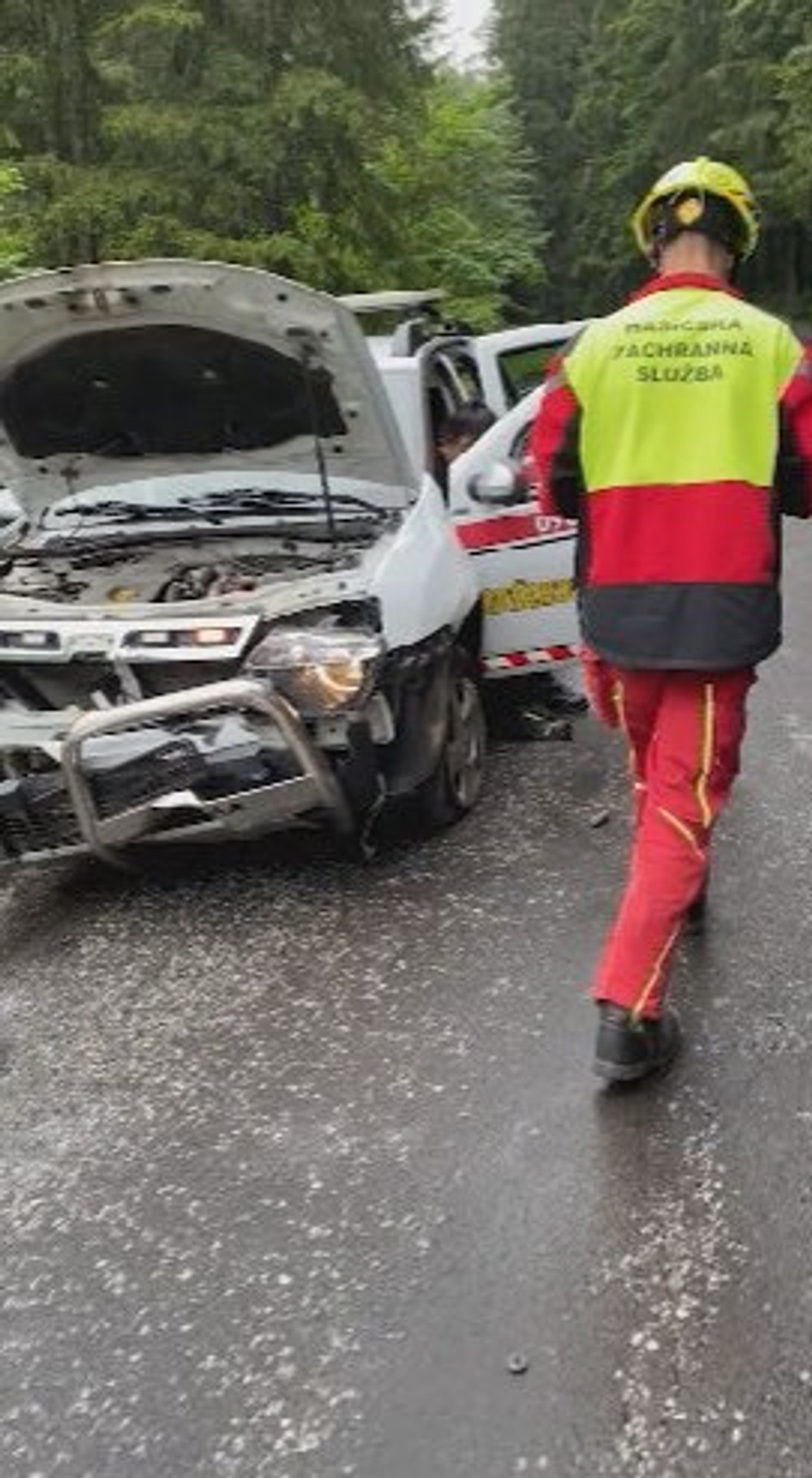 Záchranársky pes Quido potrebuje pomoc (7)