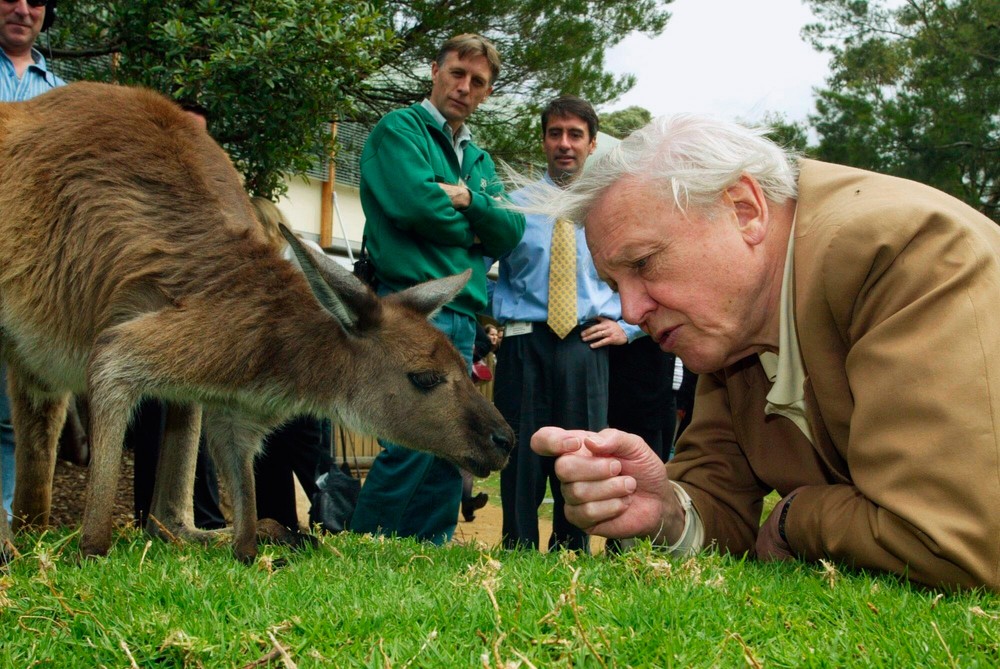 Britain_Attenborough_100th_Birthday320875