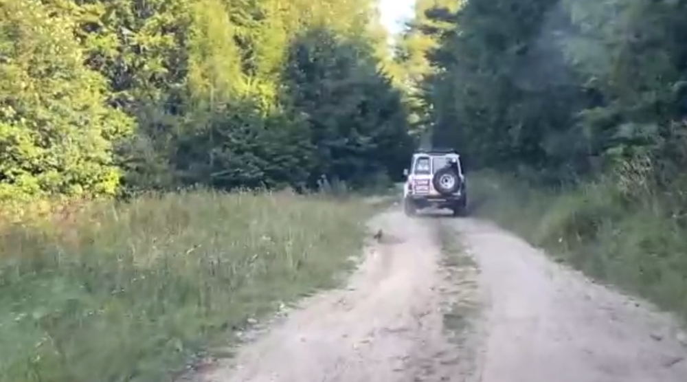 Veľká pátracia akcia v Slovenskom raji: Františka už hľadajú policajti, dobrovoľníci aj vrtuľník