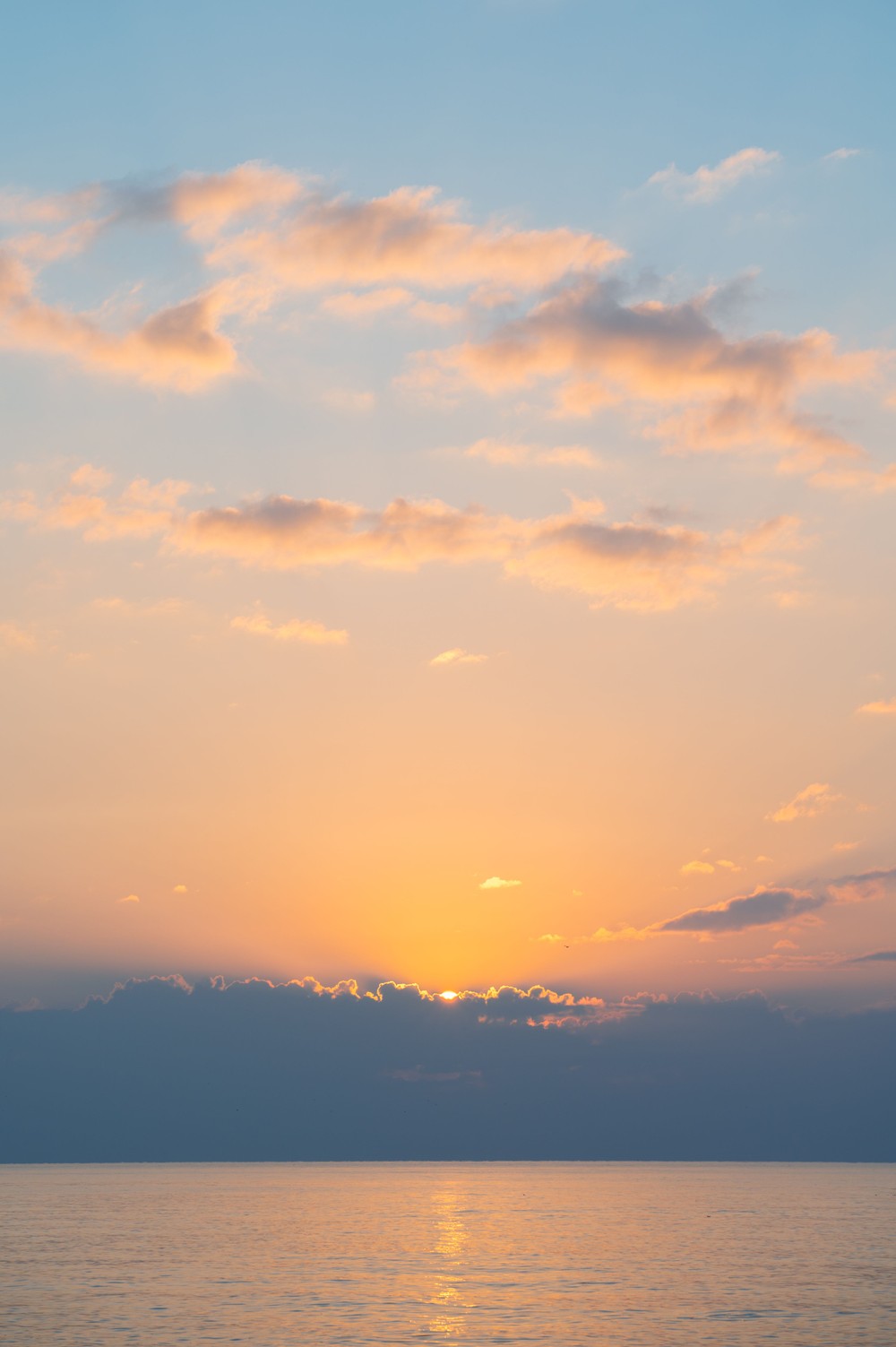 pexels-grigoriy-3808567-30108749