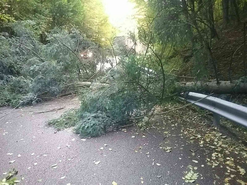 Silný vietor si vyžiadal už 171 zásahov hasičov 