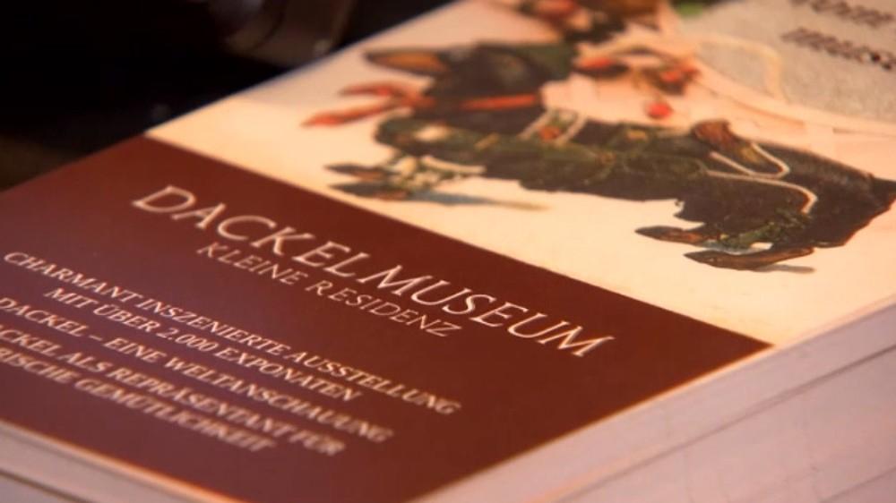 Múzeum jazvečíkov 