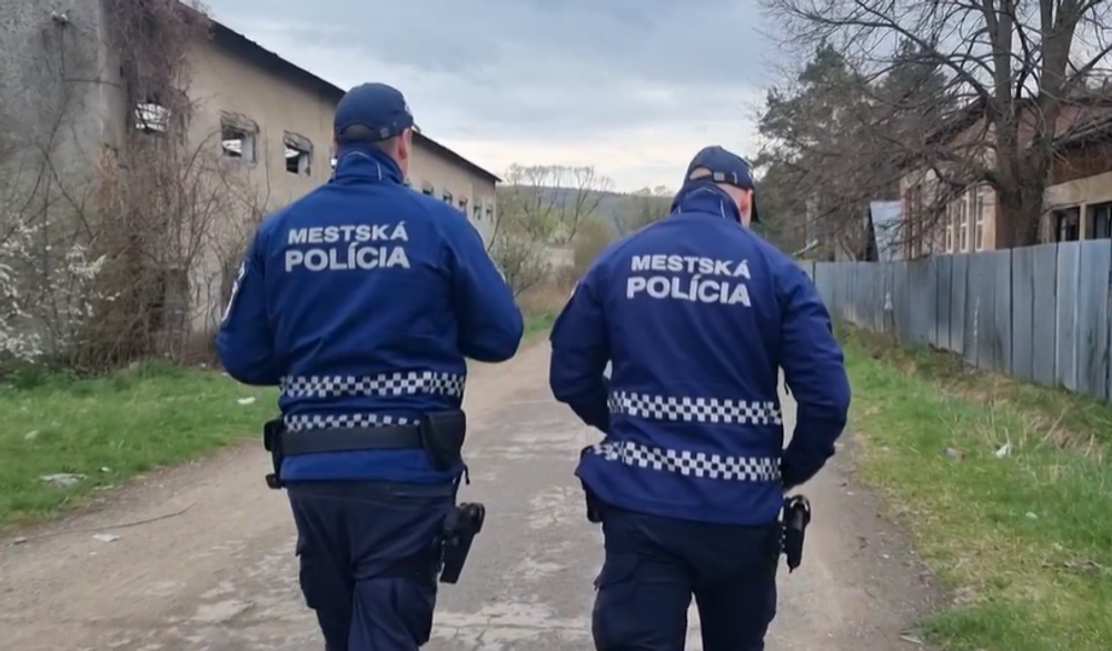 mestska policia il