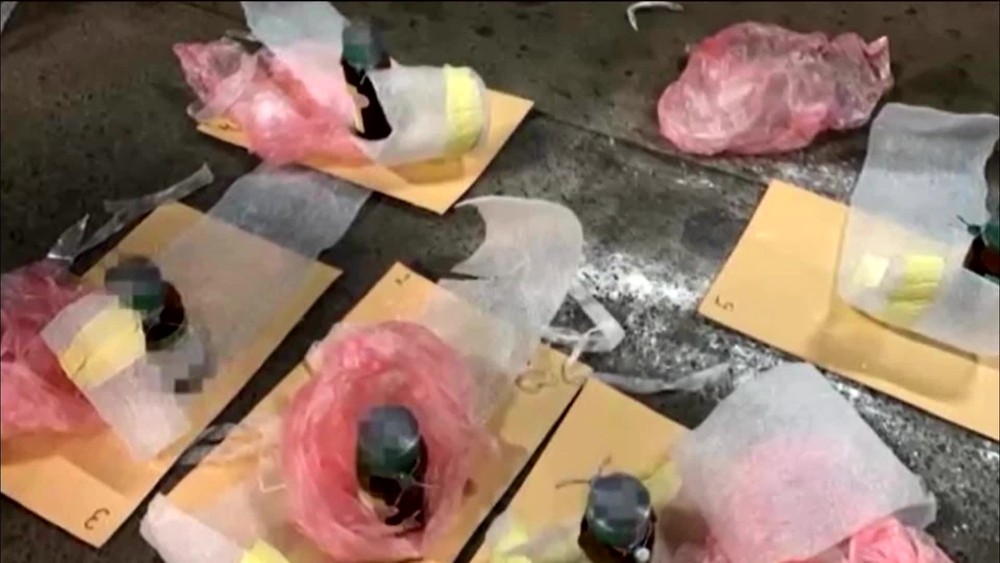 [multi] Paserak ortute 6870