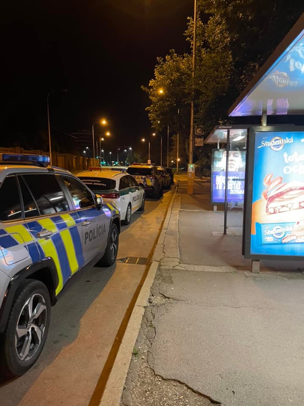 Pátranie po nezvestnej Soni