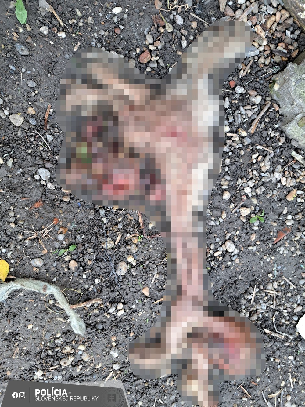 431548448_814492240716346_7304117701834445750_n