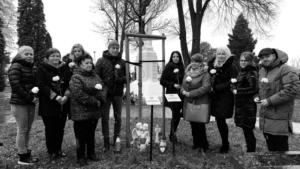 332283908_604189278241748_4185437886442885493_n