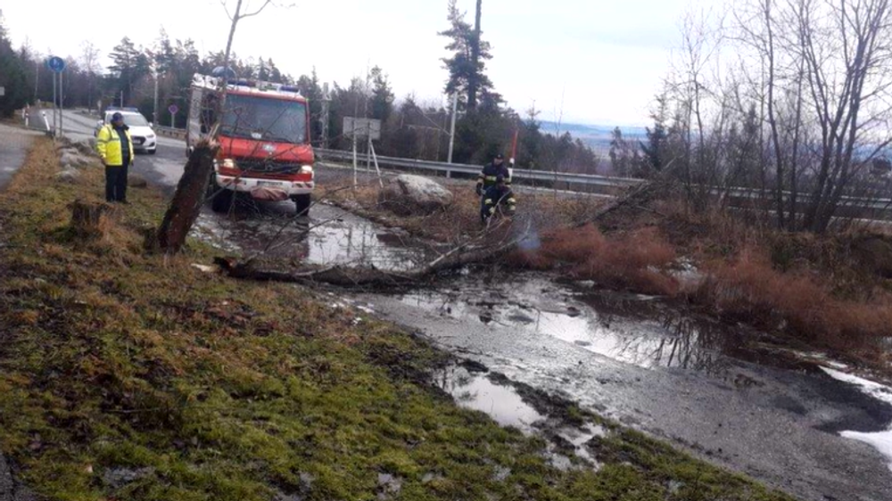 Severom Slovenska sa prehnal vietor o sile orkánu. Viaceré obce ostali na Štedrý deň bez elektriny
