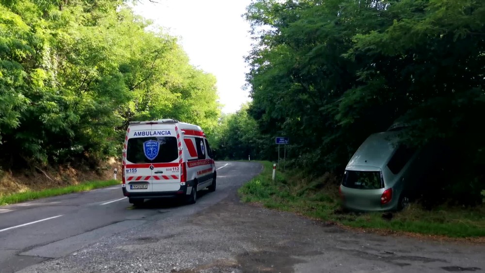 [multi] Náraz do stromov 10703