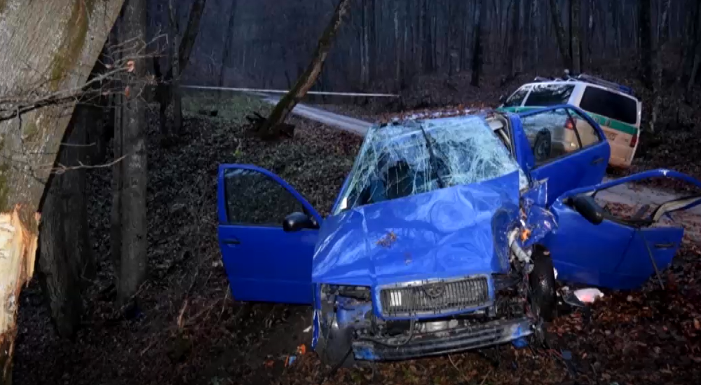 Vodič prešiel do protismeru a narazil do stromu