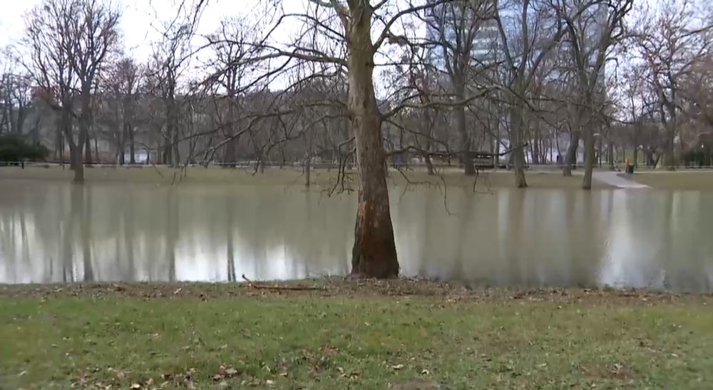 Screenshot 2023-03-13 164702