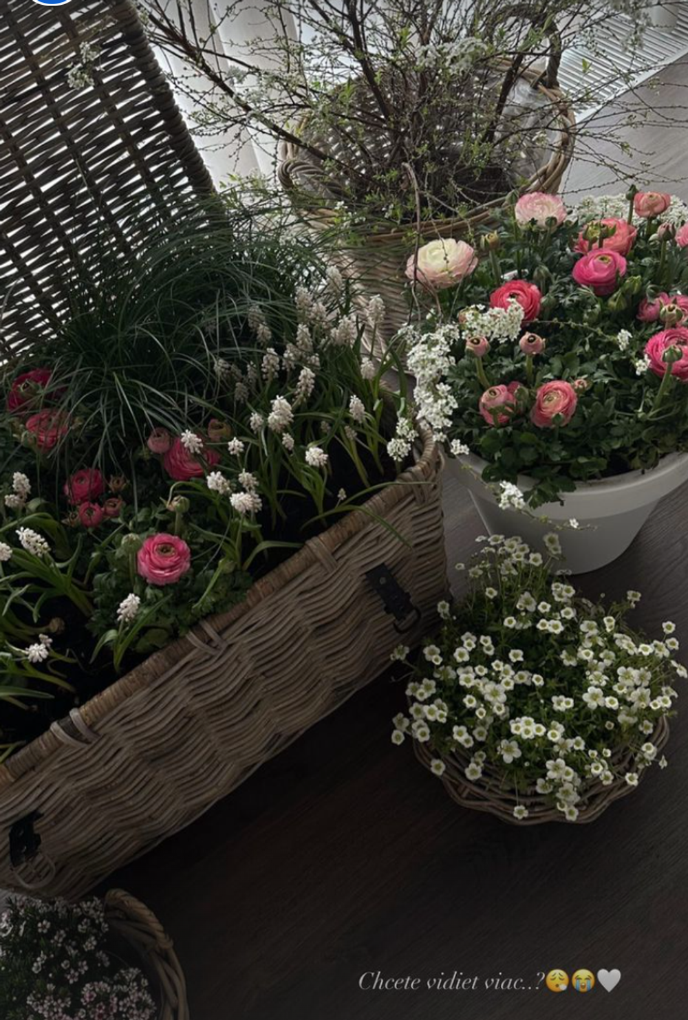 Takéto prekvapenie čakalo Dominiku po príchode z pôrodnice