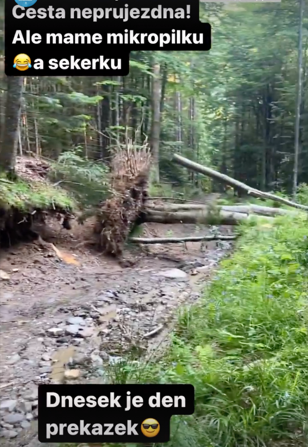 Dovolenka Pizingerovcov 1