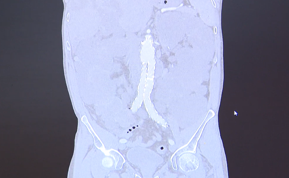 Screenshot 2024-08-10 094507