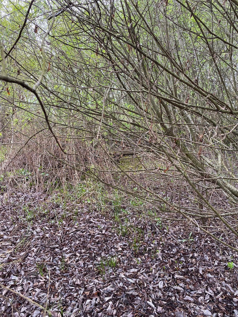 Pátranie po nezvestnom