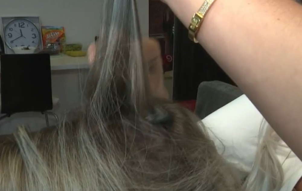 kaderníctvo