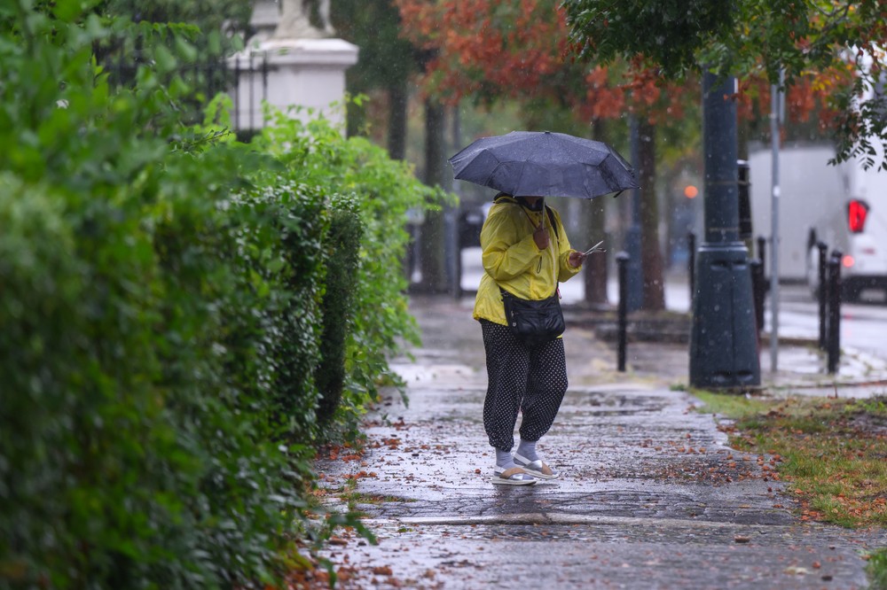 20241409_dazd_ba_12072104