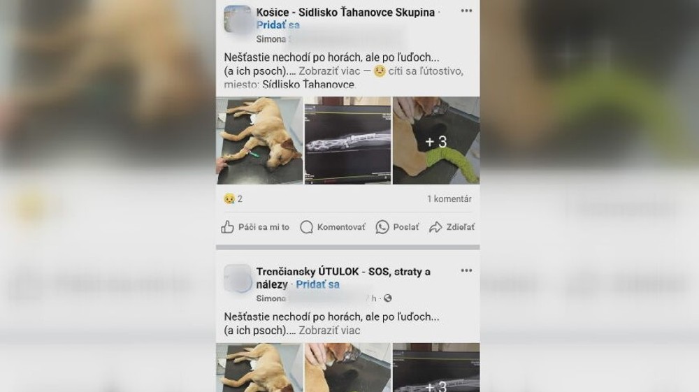 KN Zneuzite tyrane zvierata (1)