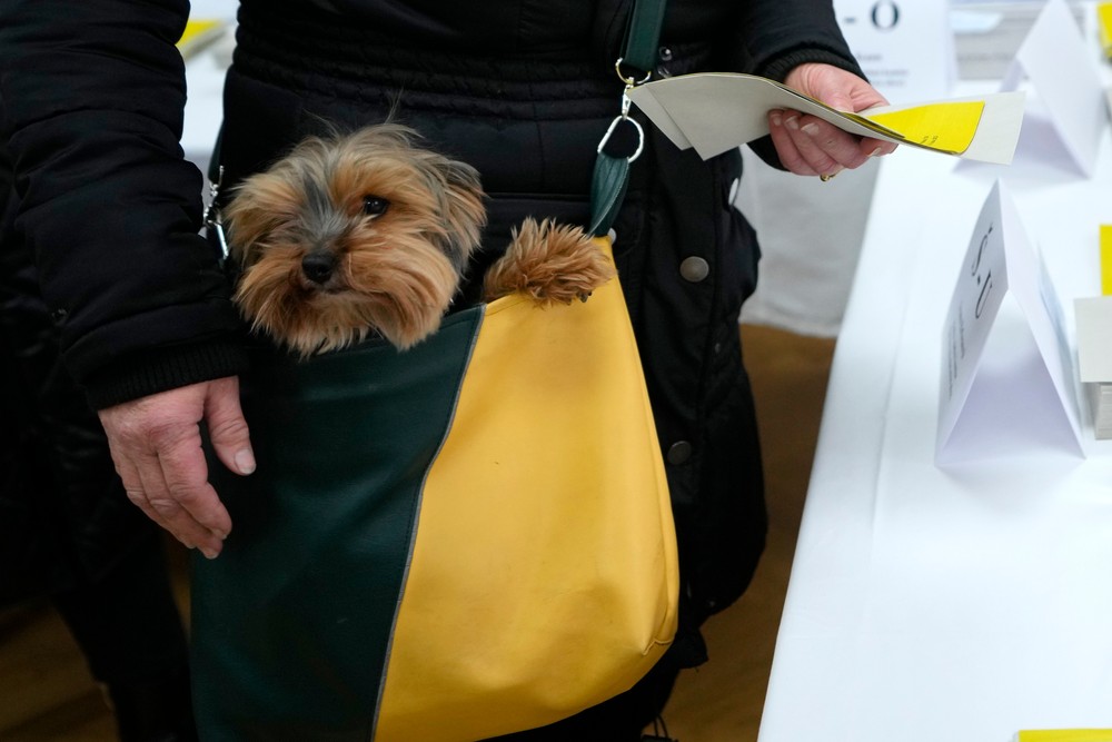 Prezidentské voľby v Česku 2023