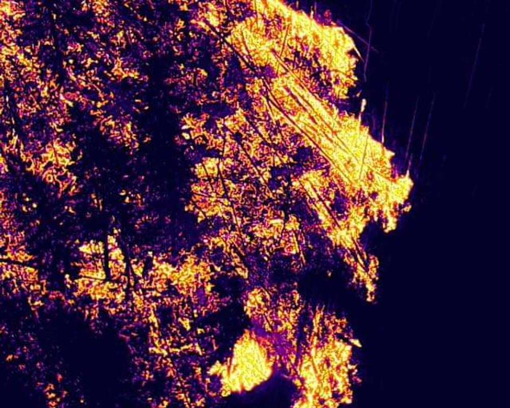 FB_IMG_1725042196592