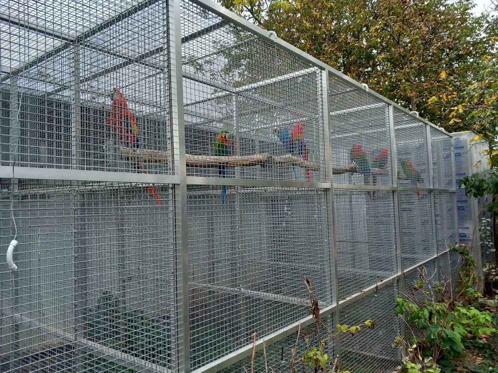 406055489_741020108063560_1802586946378635725_n