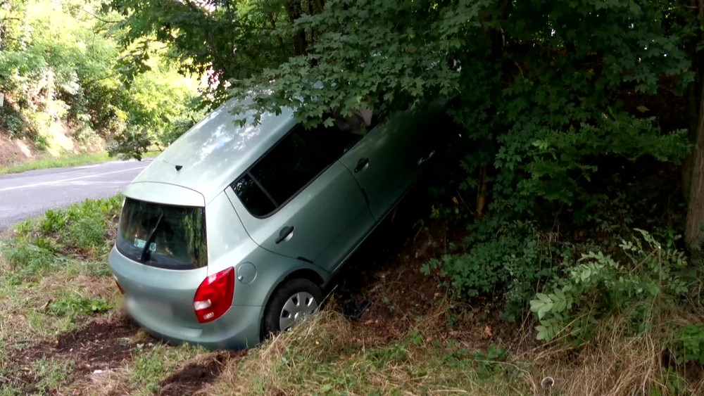 [multi] Náraz do stromov 10705