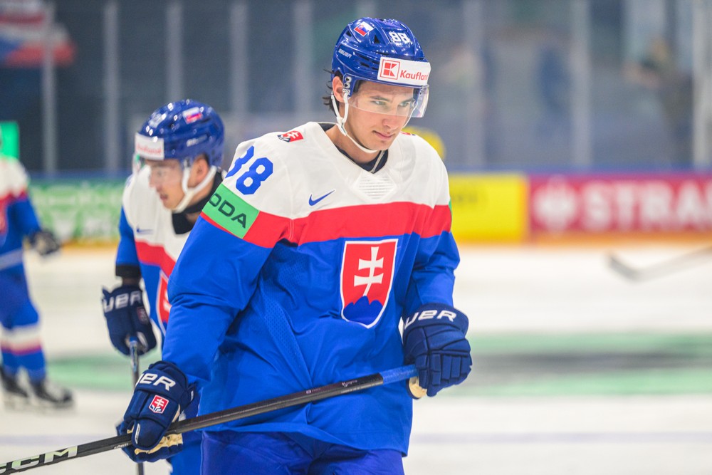 Slovensko - Švédsko