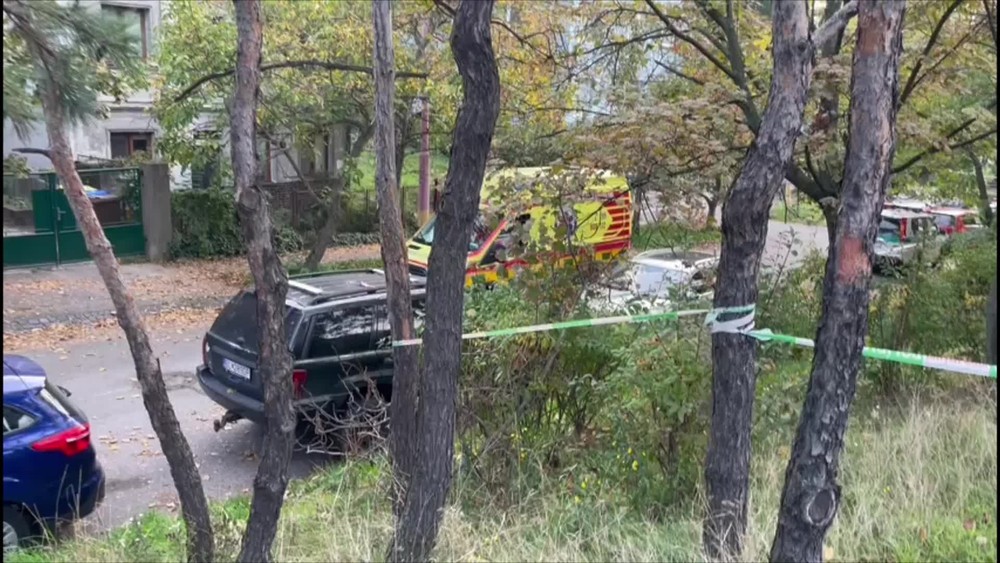 [multi] pachateľ zamoocka 3 16731