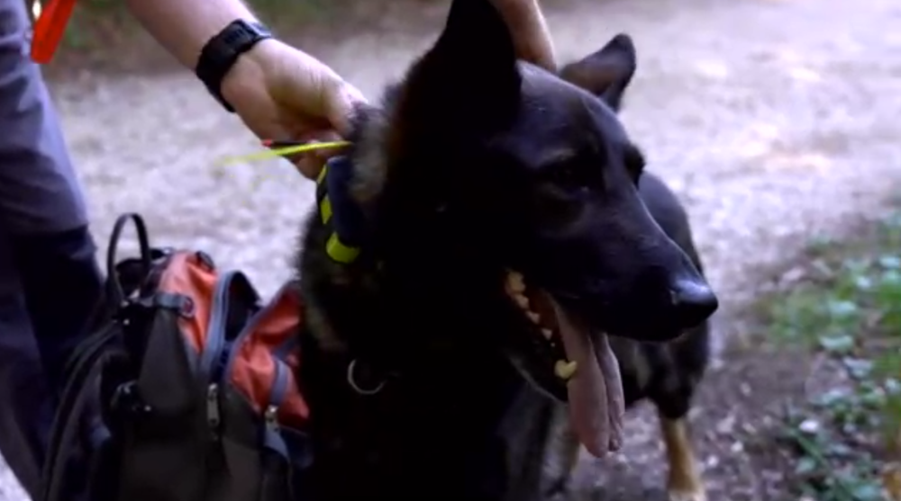 Veľká pátracia akcia v Slovenskom raji: Františka už hľadajú policajti, dobrovoľníci aj vrtuľník