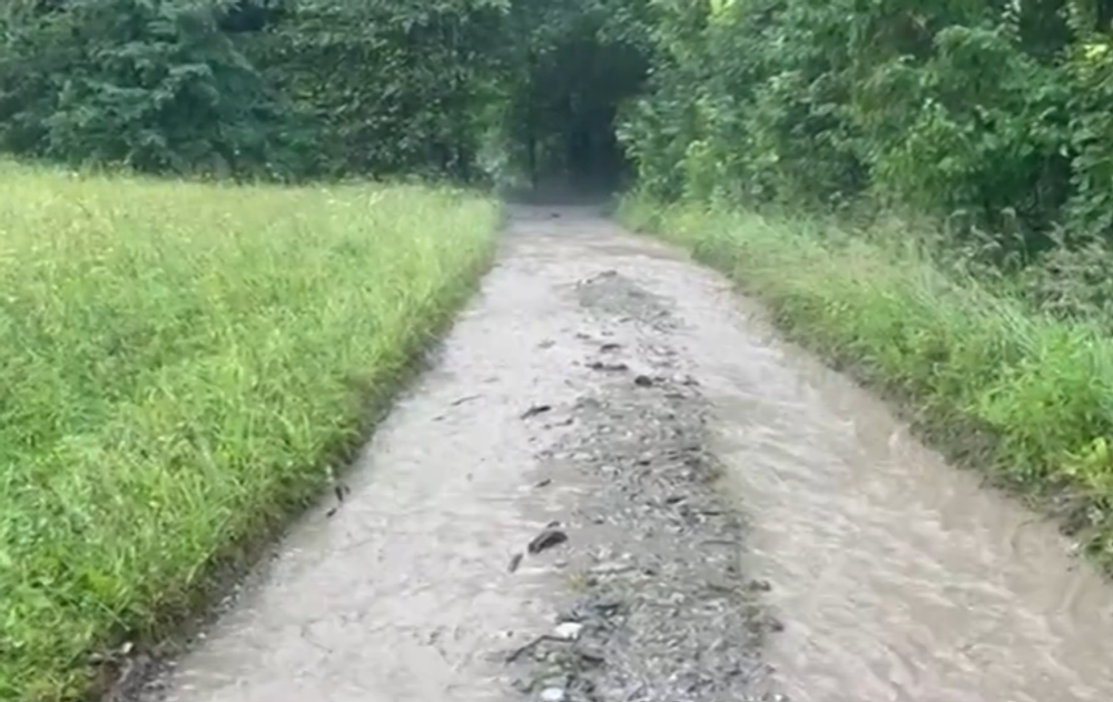 Snímka obrazovky 2024-07-11 212035