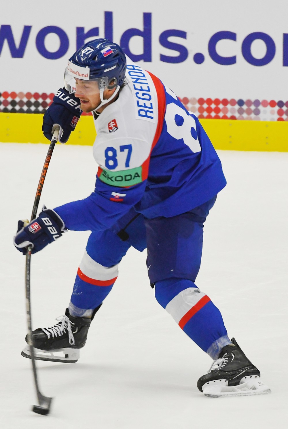 MS v hokeji SR USA  Pavol Regenda