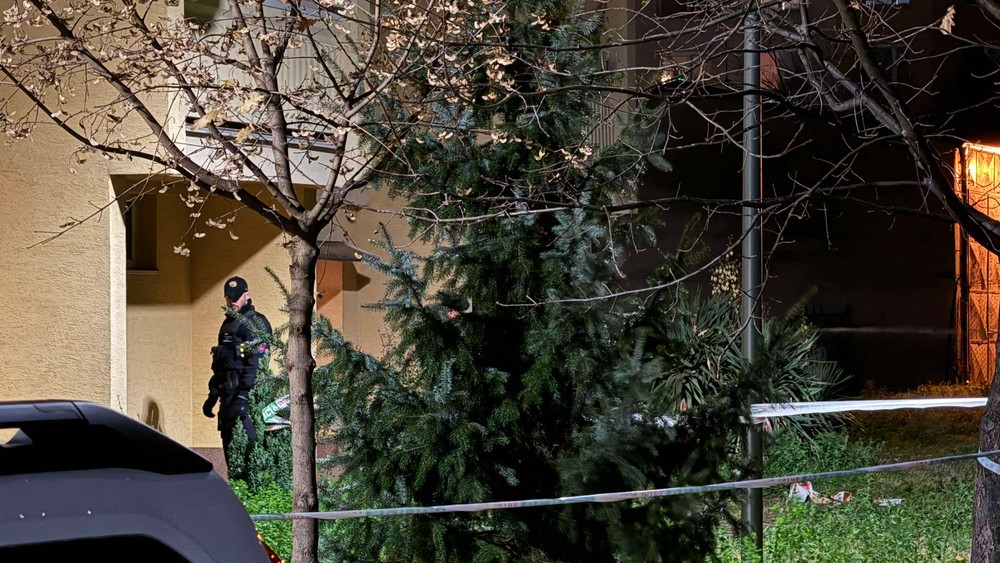 Polícia na mieste činu 5