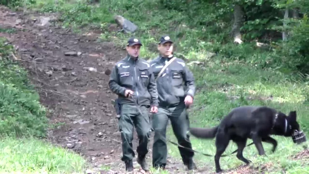 [multi] N12 Rozbity gang prevadzacov.transfer 10531