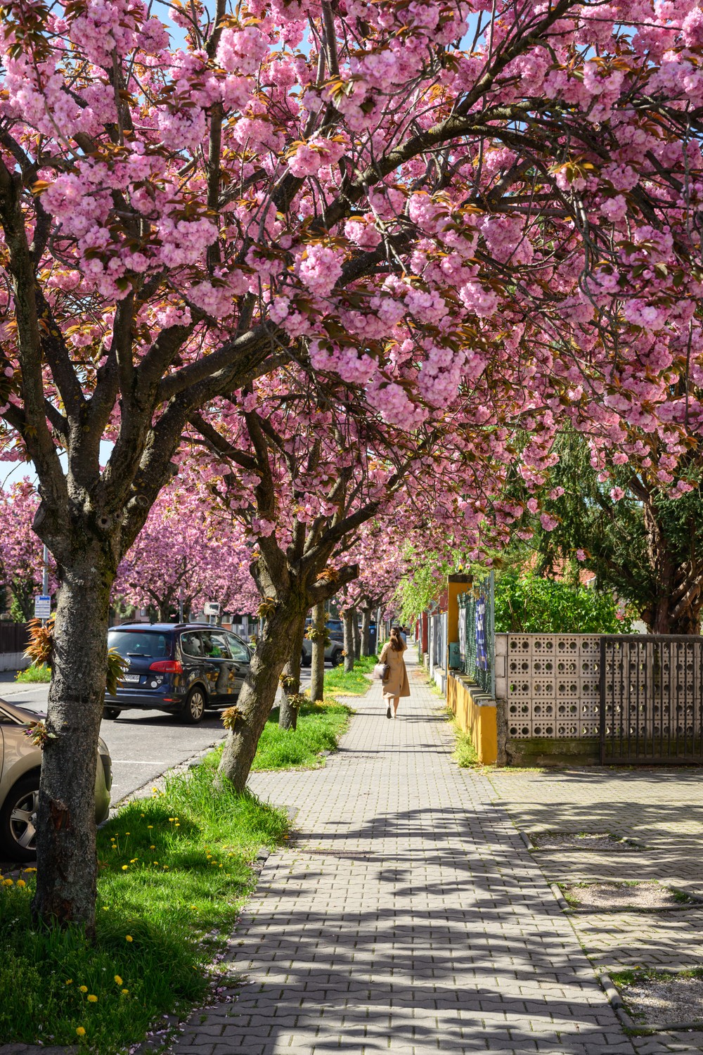 skrntr170425nr7123572