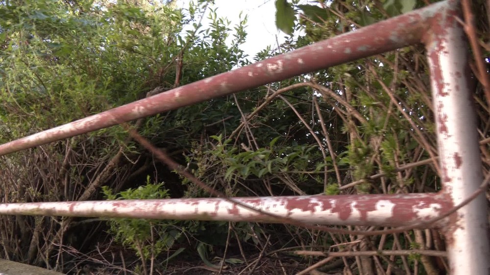 [multi] 060624GEW 1091