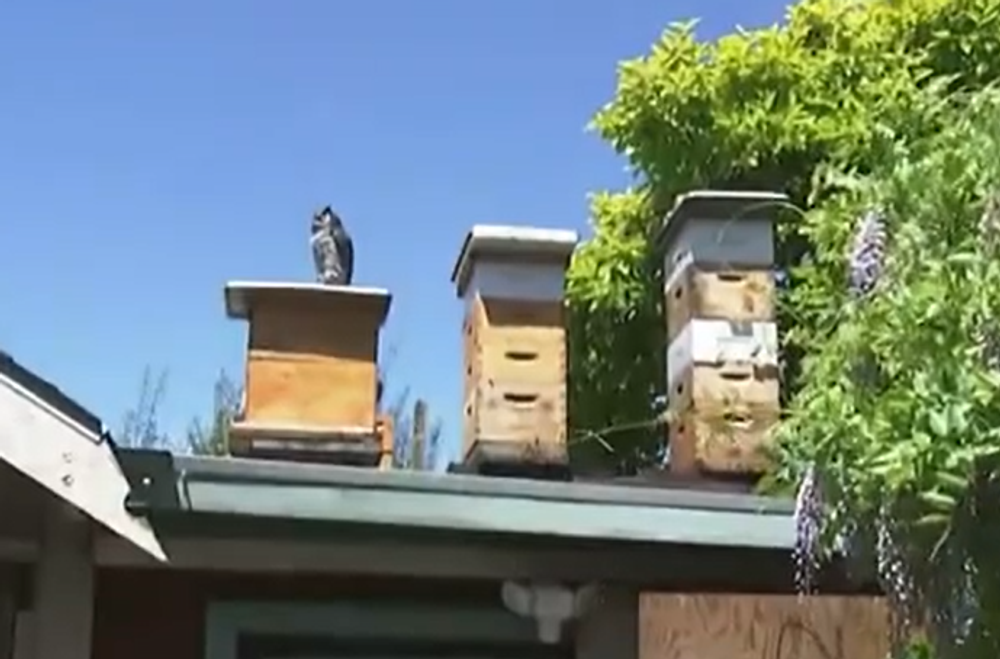 Screenshot 2024-05-05 102130